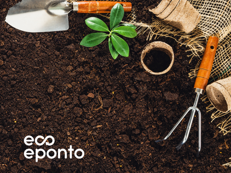 Uso da Fibrinha de Coco na Jardinagem