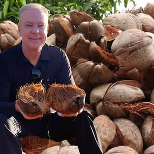 Eco e Ponto: produtora de fibra de coco