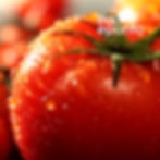 imagem de um tomate maduro e apetitoso, molhado