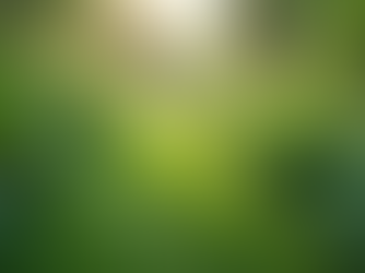 The Importance of Sustainable Living in Today's World