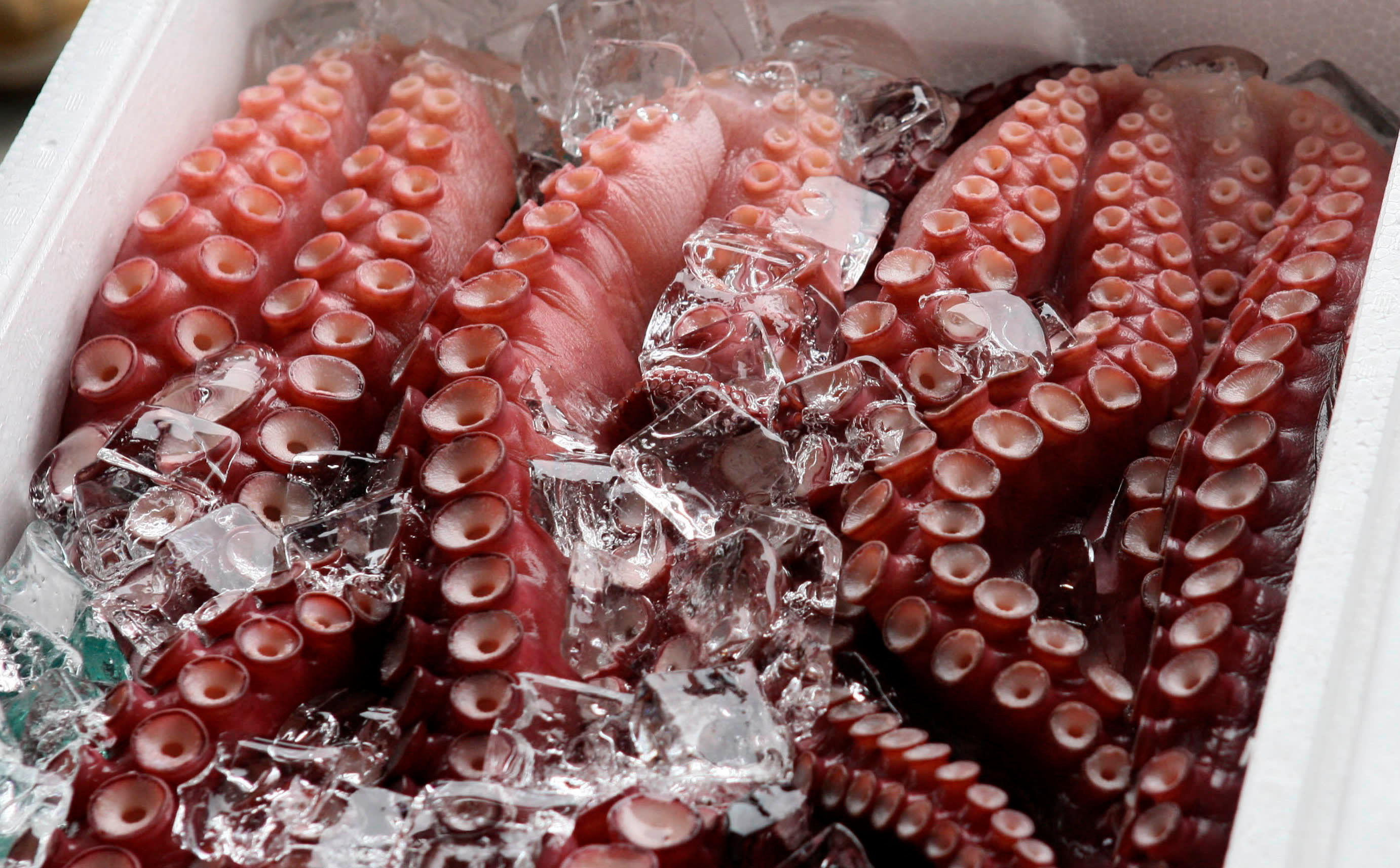 Tako (Sashimi)