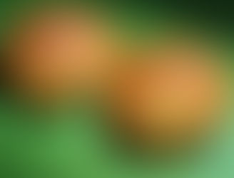 天然酵母のぶどうバンズ