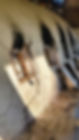 20241018_091025.jpg