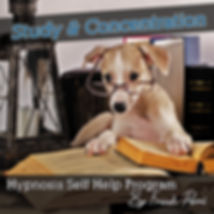 Focus and Study
