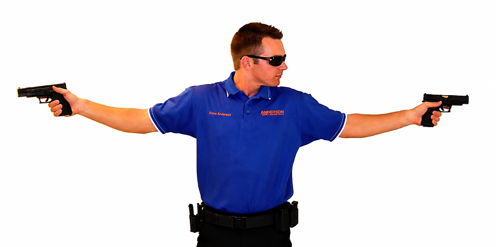 220Guns without logo and background.png