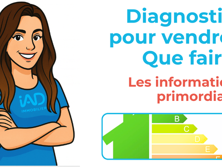 Diagnostics immobilier pour vendre : Que faire?