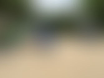 【六軒全域クリーン作戦のご報告】ありがとうございました！