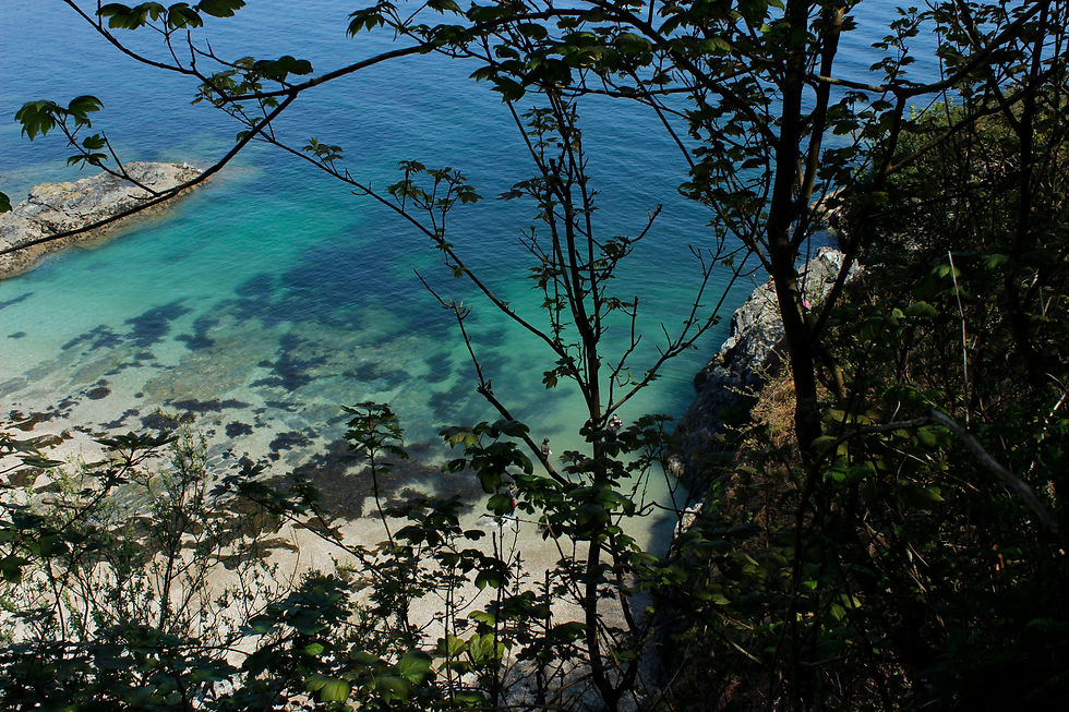 Cornish Water