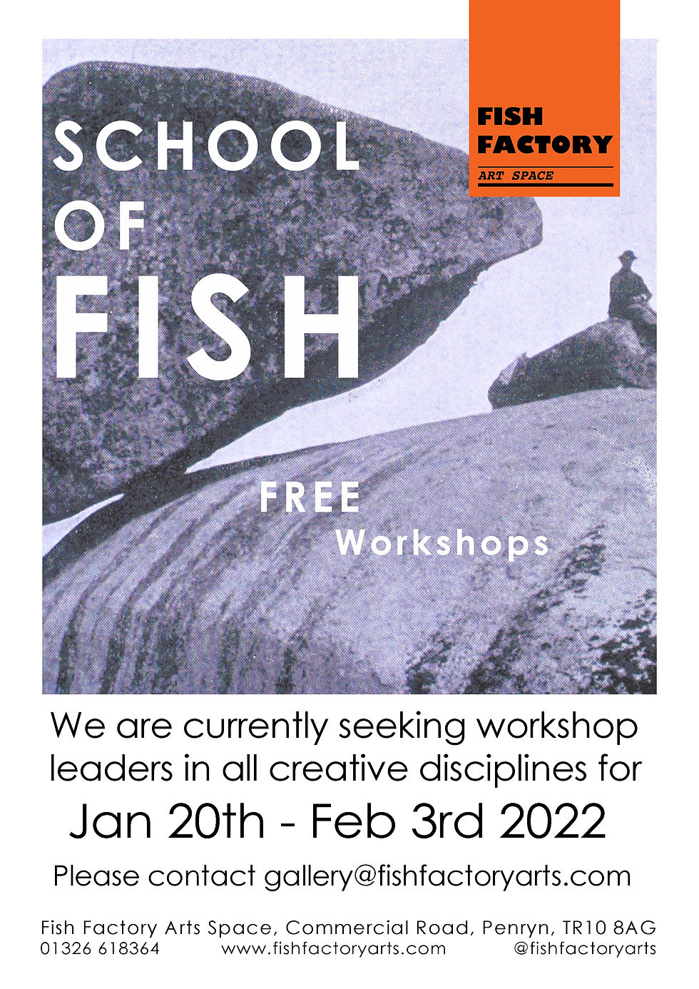 School of Fish