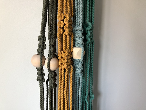 plant hangers.heic