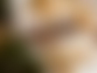 2022年新机会!盘点全球移民市场大变化!