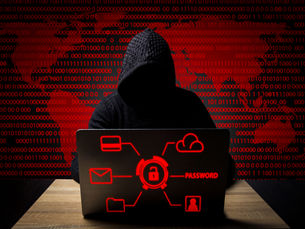 person searching the dark web