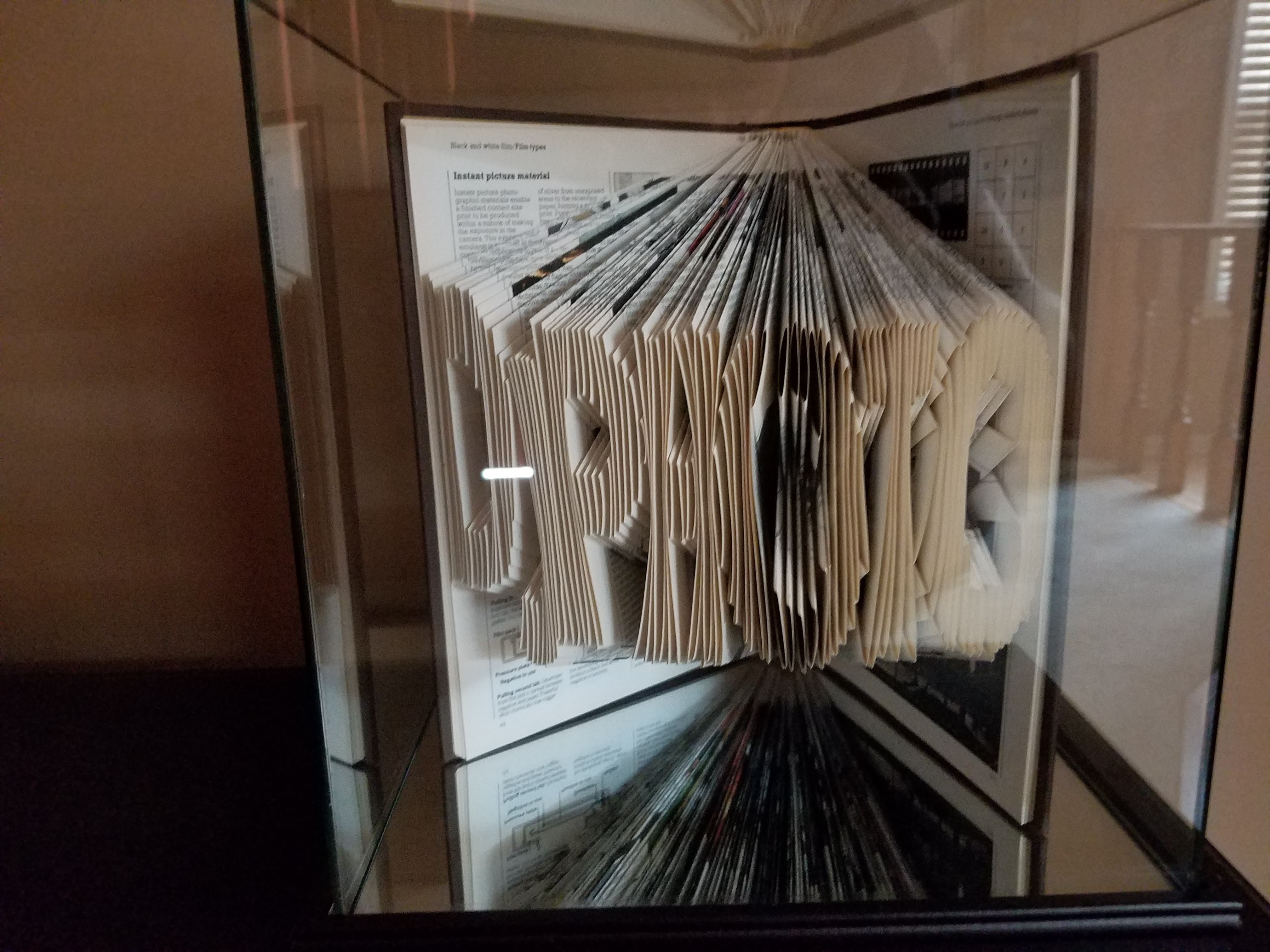 DJPhoto book art