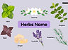 Natural herbs