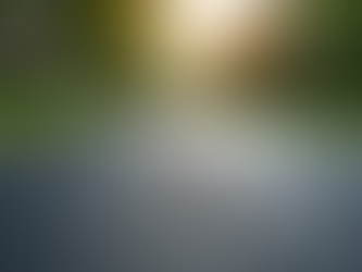 Explore Reliable Paving Services for Your Needs