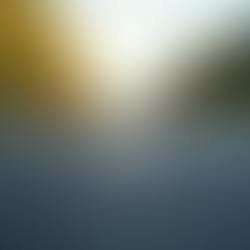 Maximizing Pavement Durability with Expert Services: Your Guide to Pavement Maintenance Solutions