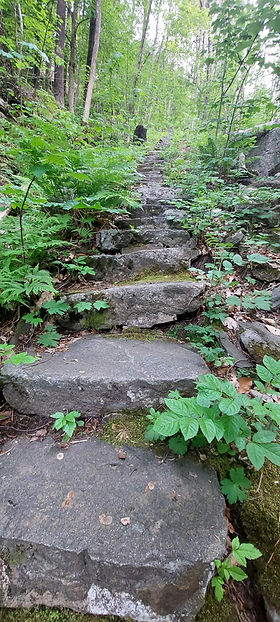 3a03d5c4-2c00-4b87-b40f-32bd74e11feb.jfif