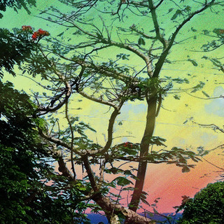 St. Croix Pride