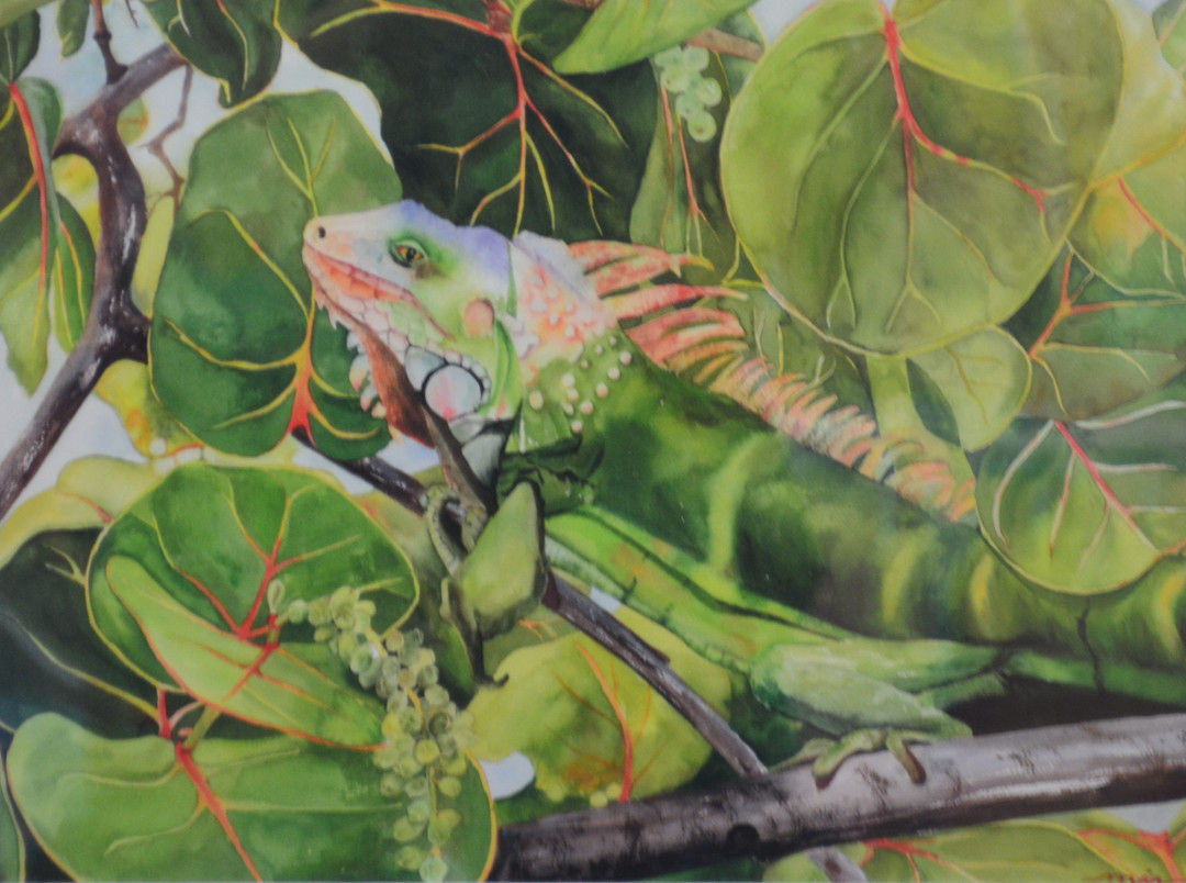 Jane Akin - Where's Waldo, 14x17 Print