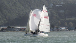 IMG_1330 Kiwi and Mystery Achievement
