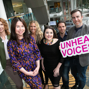 Unheard Voices - Fingal County Council