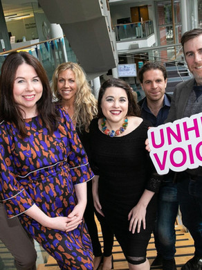 Unheard Voices - Fingal County Council