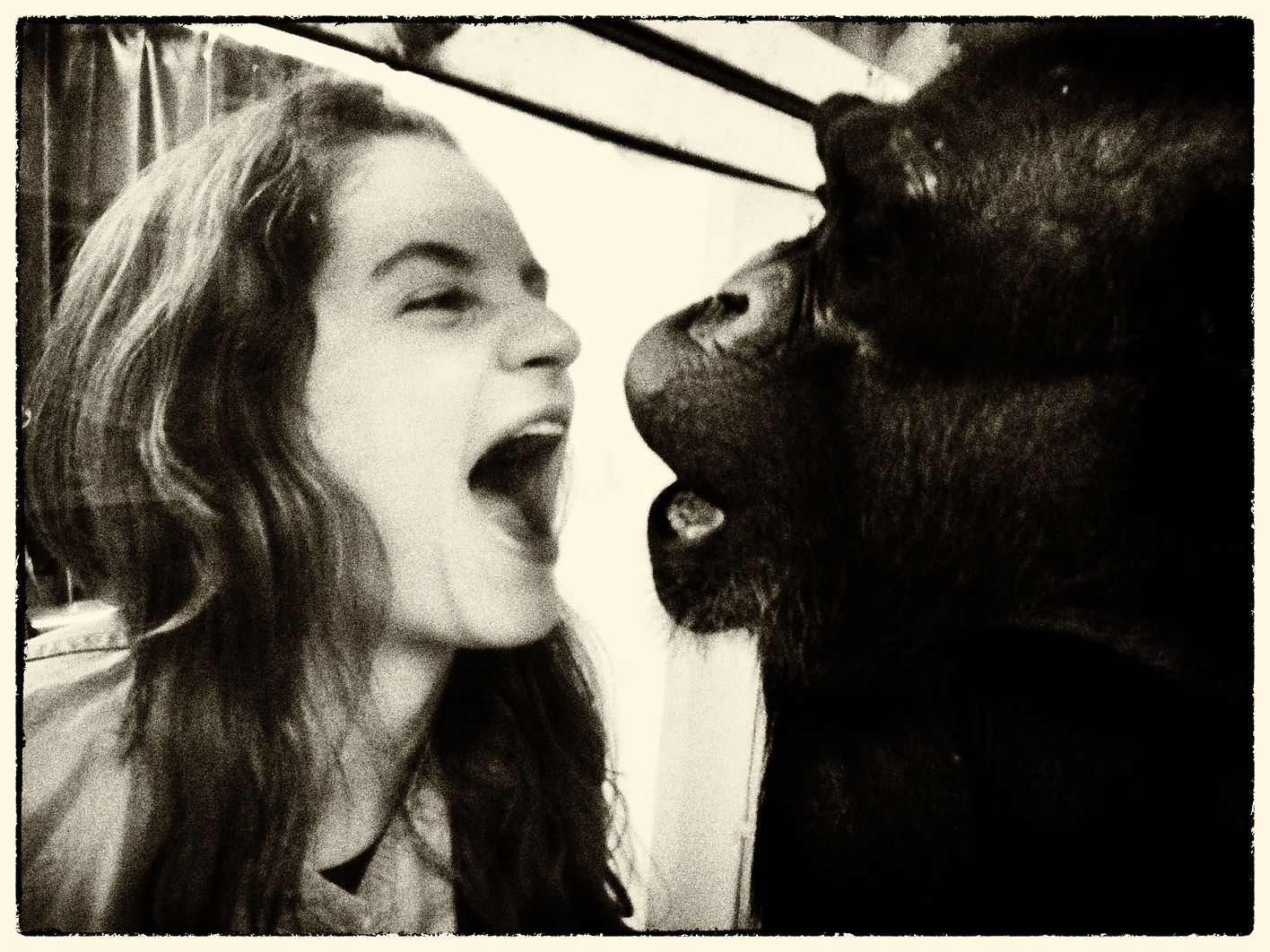 Gabriela Daly and Ai chimpanzee | Photo taken by Matsuzawa in 2014.jpg