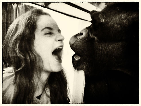 Gabriela Daly and Ai chimpanzee _ Photo taken by Matsuzawa in 2014.jpg