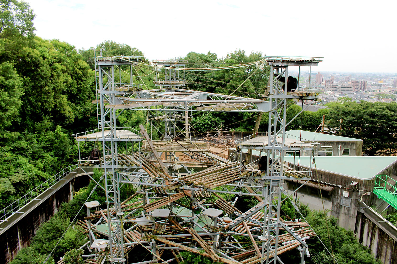 IMG_2267 Chimpanzee tower_edited.jpg