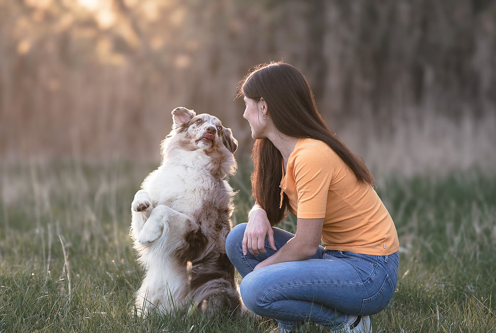 Tierfotografie Hund