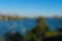 All About the View - West from Point Piper.jpg