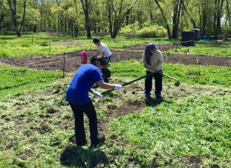 History Ricestreetgardens
