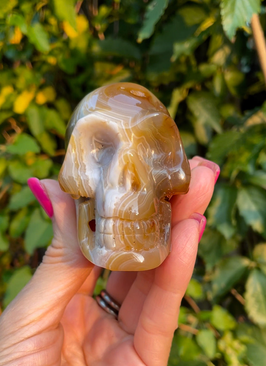 Thumbnail: Sunrise