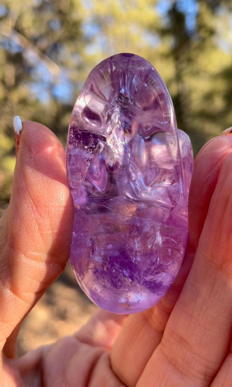 Thumbnail: Orchid