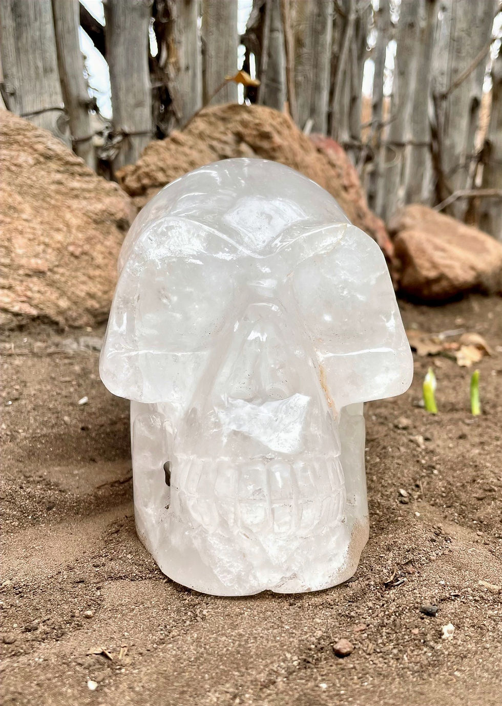 Thumbnail: Himalayan