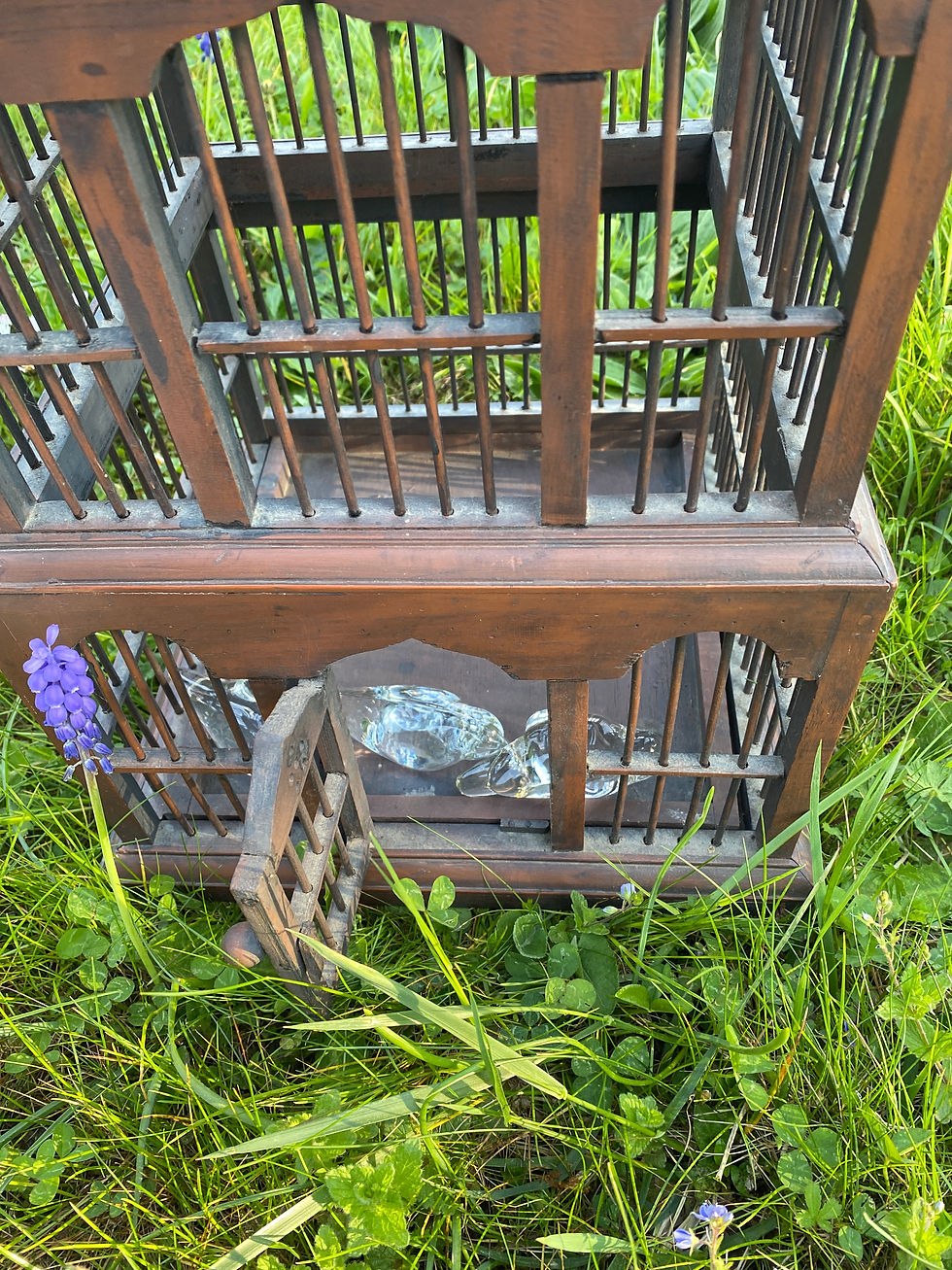 Miniature : Grande cage à oiseaux en bois ancienne