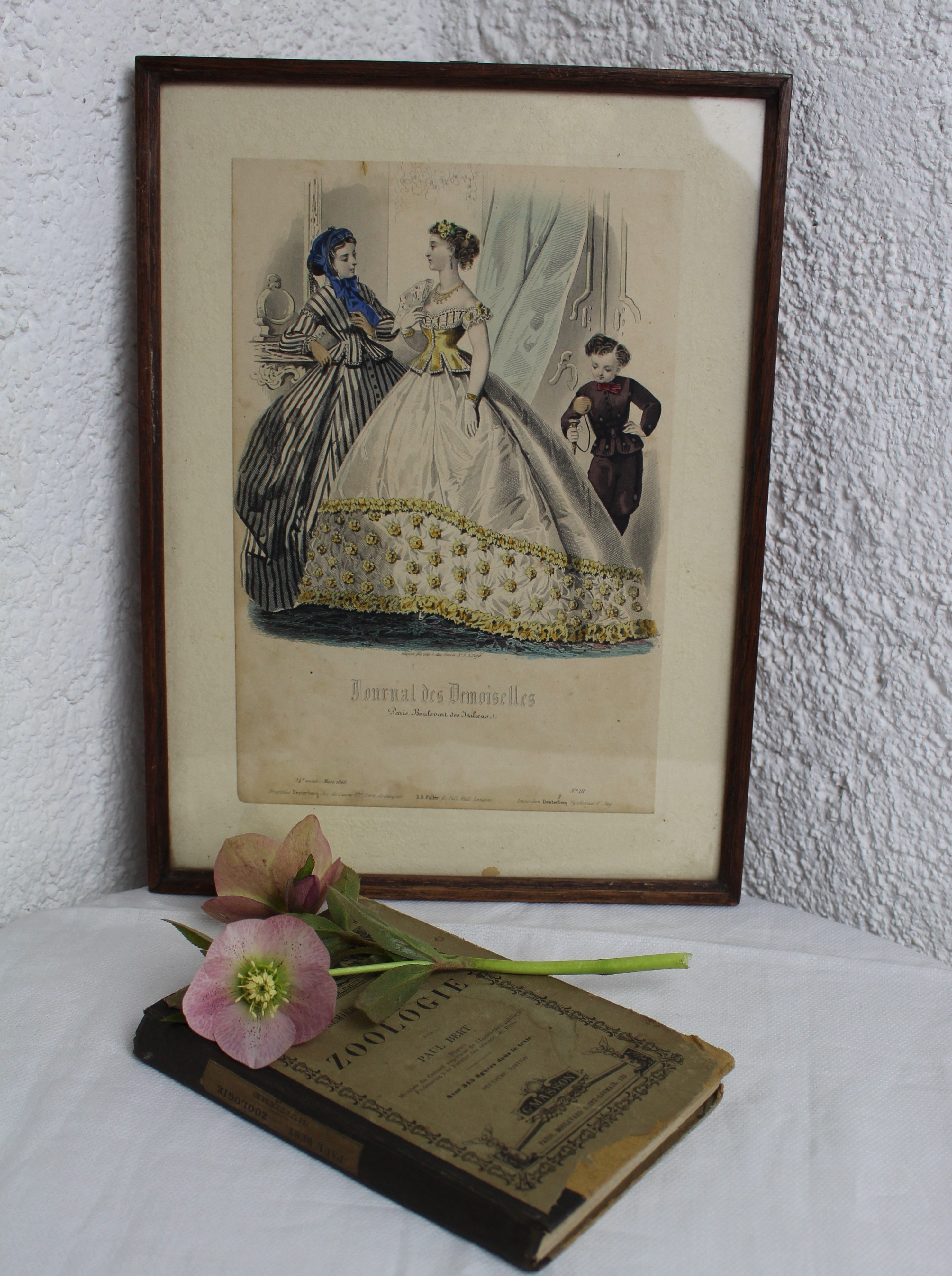 Grande illustration de mode encadrée XIXème siècle
