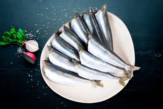 Sardine