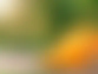 Do packet juices really contain fruit?