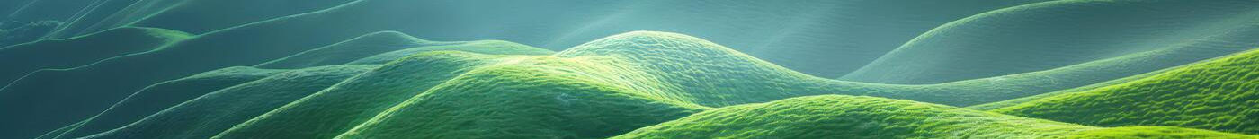 dummy cover image.jpg