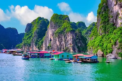 vietnam 4.webp