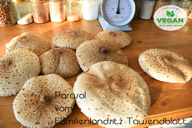 Gebackener Parasol oder doch mehr?