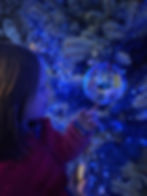 Mile Wide Holiday Hop