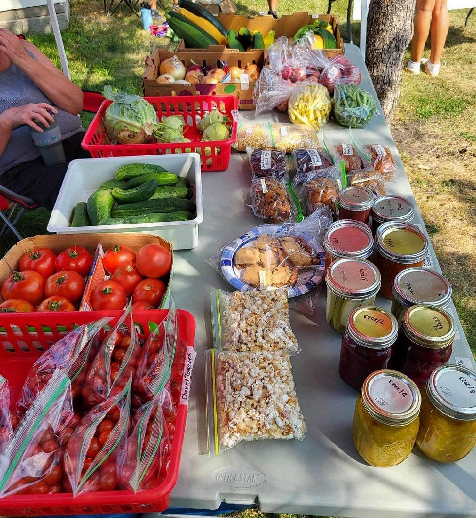 Denver Farmers Market