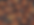 Pumpkins _edited.png