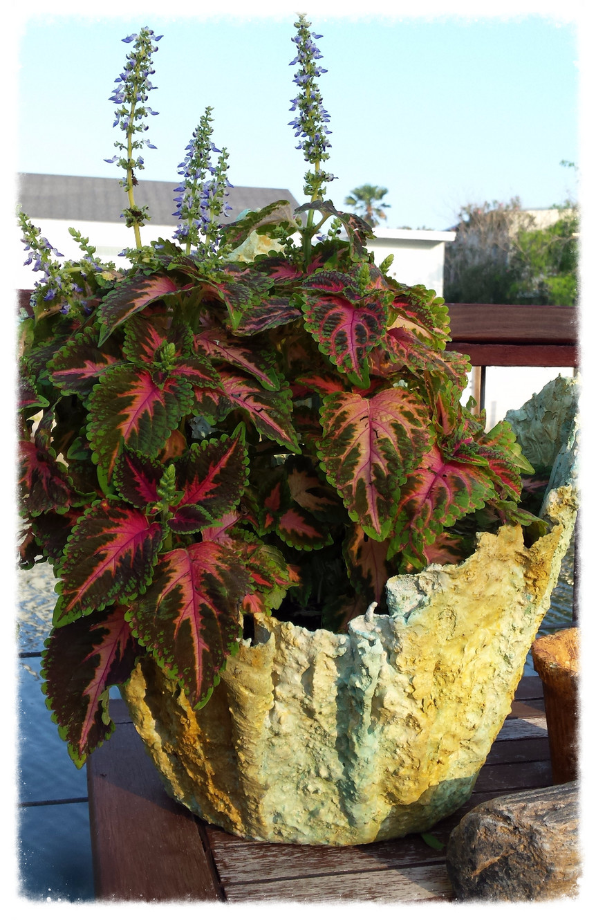 Natural Planters CC, Texas HypaTufa, ETC, Planters