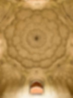 ree