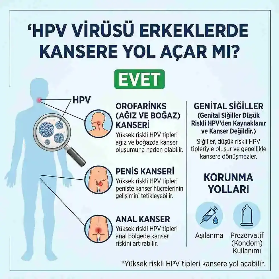 HPV Virüsü Erkeklerde Kansere Yol Açar Mı