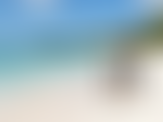 Black in Okinawa: Beaches, Bases and the Honest Guide (2026)