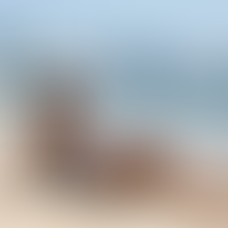 Black in Da Nang: The Beach City Guide (2026)